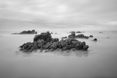 MG_4368