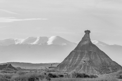 MG_7475-2